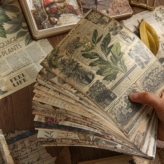 Quiet Garden Postcard Set