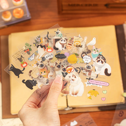 Purrfect Snugs Sticker book