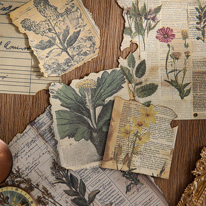 Quiet Garden Postcard Set