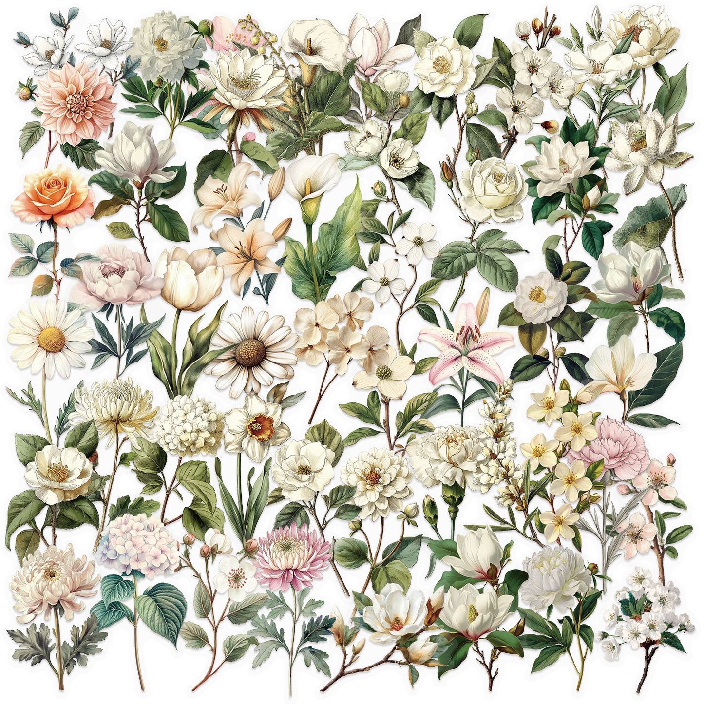Whispering Flowers