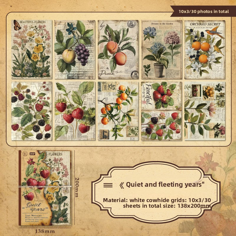 Quiet Garden Postcard Set