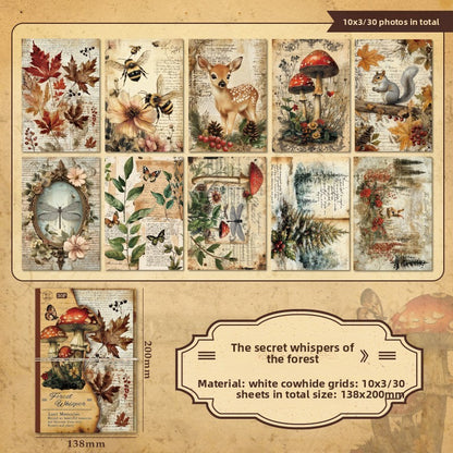 Quiet Garden Postcard Set
