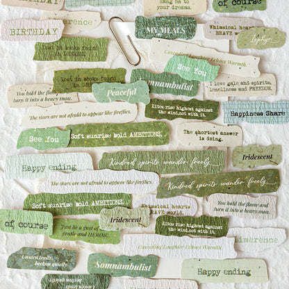 Daily Notes